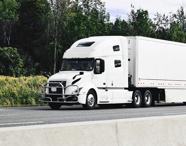 Importir Frozen Food